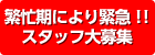 繁忙期により緊急!!スタッフ募集