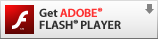 Get ADOBE FLASHPLAYER